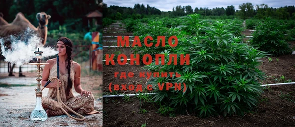 прущие крисы Вяземский