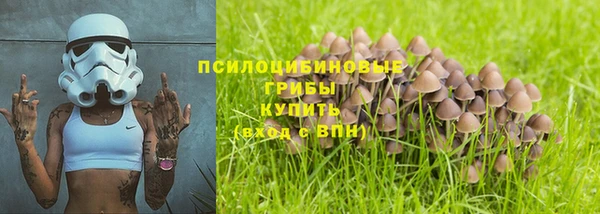 прущие крисы Вяземский