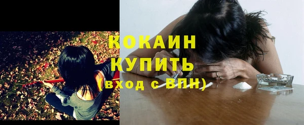 прущие крисы Вяземский