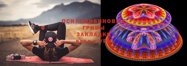 прущие крисы Вяземский