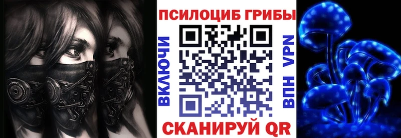 Купить закладки  Малоархангельск  Галлюциногенные грибы Cubensis 